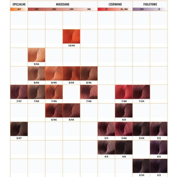 . CHANTAL Farba Intensis Color Art 100g 73 odcienie